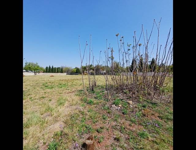 2,000M² VACANT LAND FOR SALE IN HENLEY ON KLIP